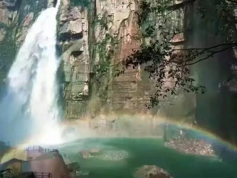 媒体人:扬科维奇的确没啥执教能力,但玉皇大帝来了也好不了多少